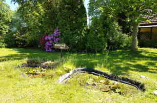 Garten 2 Teich